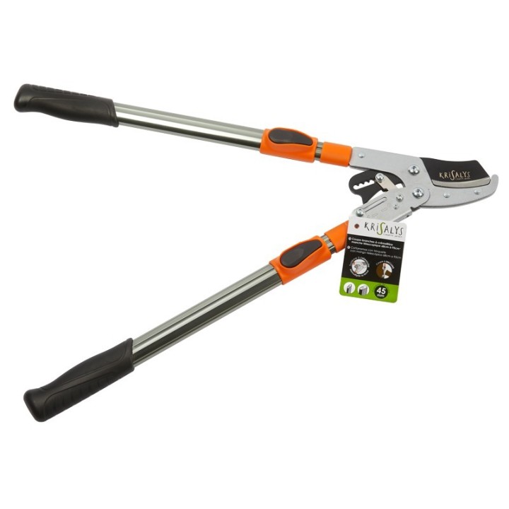 Coupe Branches à Crémaillère Ø 45mm Manche Téléscopique 68cm à 95cm KRISALYS