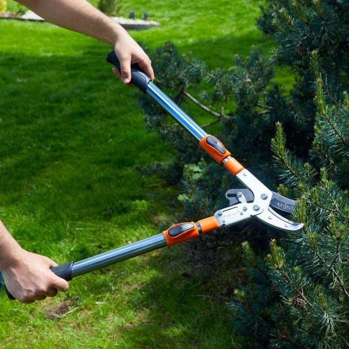 Coupe Branches à Crémaillère Ø 45mm Manche Téléscopique 68cm à 95cm KRISALYS