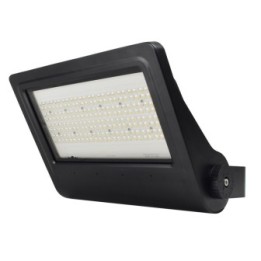 Projecteur à LED Haute Performance 100W Woltz