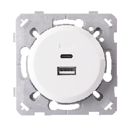 Prise Chargeur Mixte Usb / Usb-C Blanc EPURE