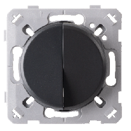 Double Interrupteur Va et vient Anthracite EPURE