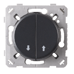 Commande Volet Roulant Anthracite EPURE