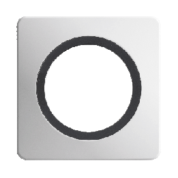 Plaque Simple Blanc Insert Anthracite Mat EPURE