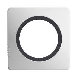 Plaque Simple Blanc Insert Anthracite Mat EPURE