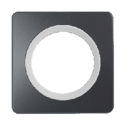 Plaque Simple Gris Anthracite Insert Blanc EPURE