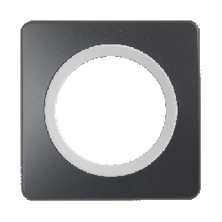 Plaque Simple Gris Anthracite Insert Blanc EPURE