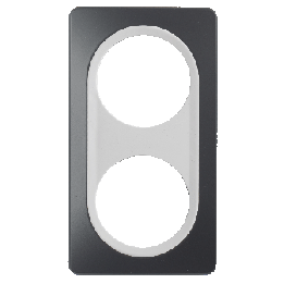 Plaque Double Gris Anthracite Insert Blanc EPURE