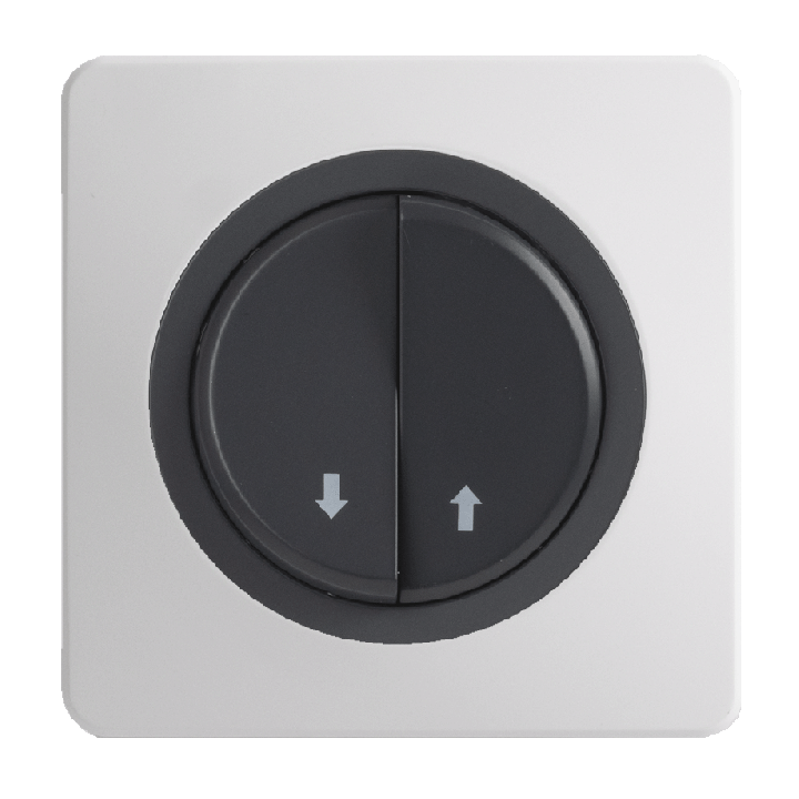 OHMTEC Epure Commande Volet Roulant Anthracite 