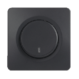 OHMTEC Epure Interrupteur Va et vient à voyant Anthracite 