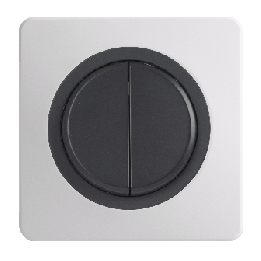 OHMTEC Epure Double Interrupteur Va et vient Anthracite 