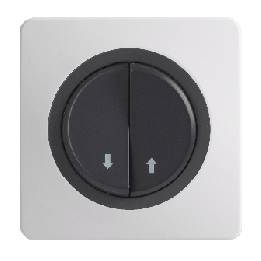 OHMTEC Epure Commande Volet Roulant Anthracite 