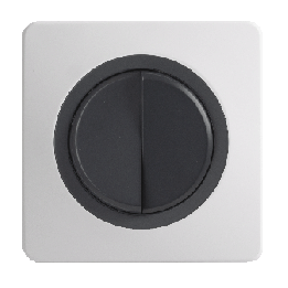 OHMTEC Epure Interrupteur Va et vient + Poussoir Gauche Anthracite 