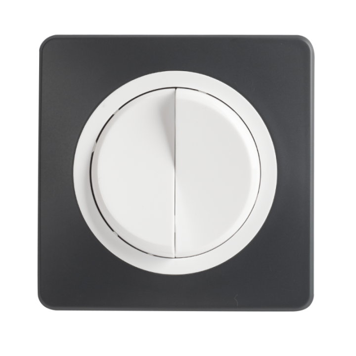 OHMTEC Epure Double interrupteur Va et vient Blanc 